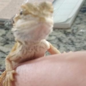 Meet your Posher, Avery